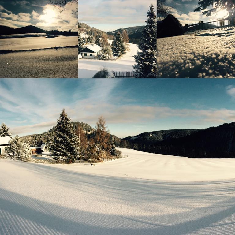 Ferienwohnungen Gehlberg Exteriör bild